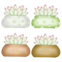 Cactuses in different porcelains png