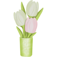 Tulpen im ein Vase png