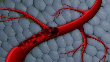 Dynamic Blood Cells in Motion. Blood Cells animation video