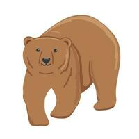 Adult brown bear. Vector flat cartoon illustration isolated on white background. Forest animal.