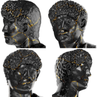 portret met panter huid digitaal buste in zwart marmeren en goud grafisch ontwerp Bedrijfsmiddel png