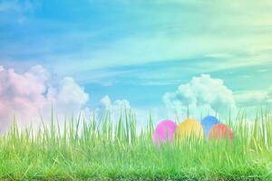 huevos de pascua decorados en la hierba con fondo de cielo azul foto