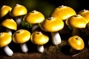 un grupo de amarillo hongos sentado en parte superior de un bosque piso. ai generado foto