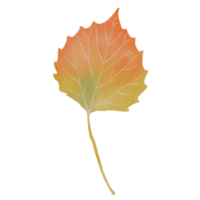 Watercolor Dry Quacking Aspen Leaf png