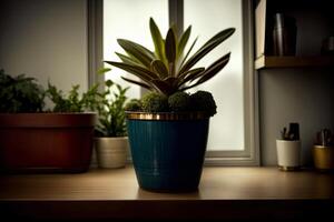 A Potted Plant Sitting On Top Of A Wooden Table. photo