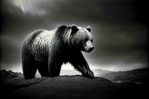 un negro y blanco foto de un oso en un colina. ai generado