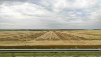 View from the window of transport to the fields, a trip in the car video