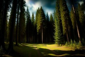 el Dom es brillante mediante el arboles en el bosque. ai generado foto