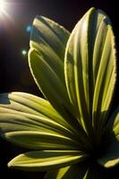 A Close Up Of A Green Flower With The Sun In The Background. AI Generated photo