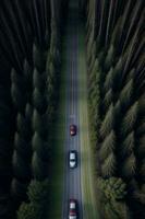 Two Cars Driving Down A Road In The Middle Of A Forest. AI Generated photo