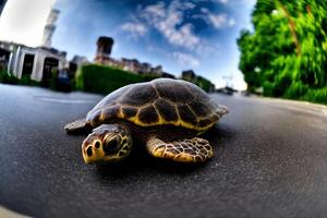 un cerca arriba de un Tortuga en un la carretera. ai generado foto