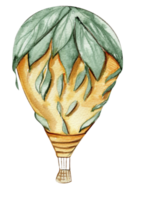 fiore Palloncino . png