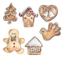 een reeks van Kerstmis koekje. hand- getrokken waterverf illustratie van gebakje in vogel, huis, hart het formulier voor winter vakantie. png