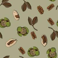 Seamless pattern with pecan nuts. Design for fabric, textile, wallpaper, packaging. vector