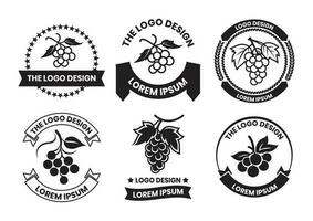 grape logo in flat line art style vector