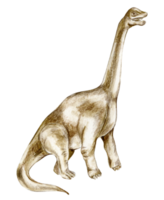 waterverf hand- getrokken tropisch dinosaurus, png