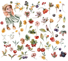Watercolor set of fall flowers, leaves and berries. png