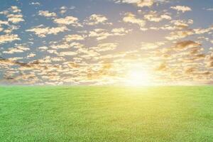 Green grass meadow and the sunset sky background. Natural field landscape photo