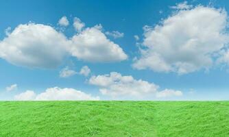 verde césped prado y azul cielo antecedentes. natural campo paisaje foto