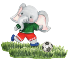 elefant fotboll spelare vattenfärg sammansättning. png