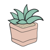 House plant for home decoration, Plant in the garden png