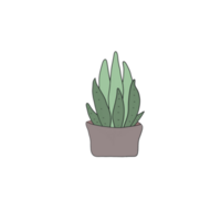 House plant for home decoration, Plant in the garden png