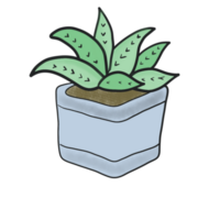 House plant for home decoration, Plant in the garden png