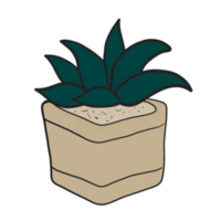 House plant for home decoration, Plant in the garden png