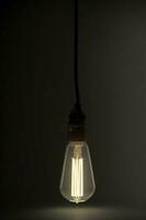 A Light Bulb Hanging From A Black Cord. AI Generated photo