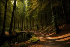 A Path In The Middle Of A Forest Next To A Body Of Water. photo
