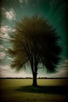 A Tree That Is Standing In The Grass. photo