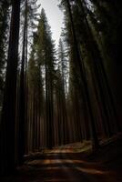 un suciedad la carretera en el medio de un bosque. ai generado foto