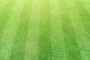 Stripe grass soccer field. Sport lawn background. photo