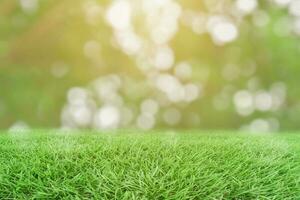 Green grass and blurred bokeh nature background. photo