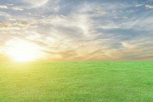 Green grass meadow and the sunset sky background. Natural field landscape photo