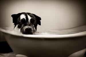 un negro y blanco perro tomando un bañera en un bañera. ai generado foto