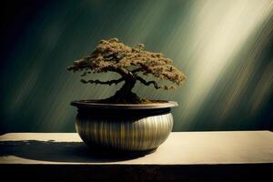 A Bonsai Tree In A Pot On A Table. photo