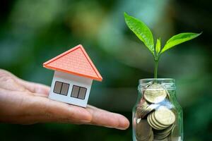 Model house in human hands and Tree grows from a pile of coins, Real estate investment, sustainable development, trees growing on stack of coins. photo