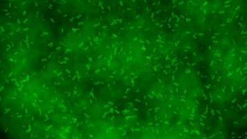 Grün Keim Bakterien Zelle animiert Mikroskop medizinisch Hintergrund 4k Video
