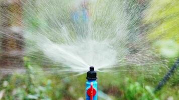 lento movimiento 4x aspersores distribuir agua para riego en agrícola campos. video