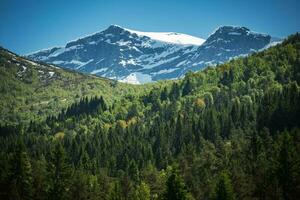 Sunny Norwegian Mountainscape Panorama photo