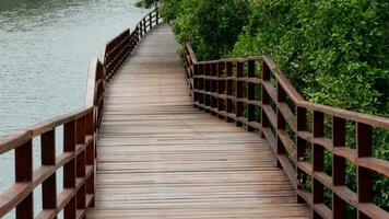 rojo de madera puente ese va abajo el colina estiramientos a el frente. mangle bosques y ríos flanqueando él. punto de referencia de Rayong tailandia de madera puente acecho el mangle bosque. foto