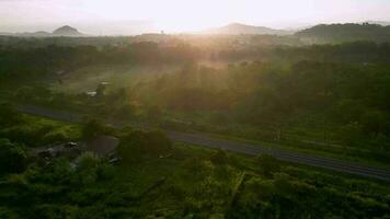 aéreo moverse terminado ferrocarril cerca el plantación en Mañana amanecer video