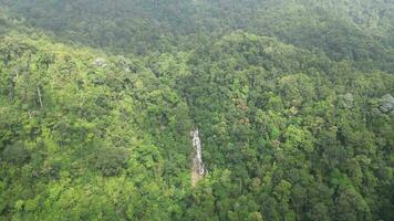 An aerial view of waterfall at a lush green forest video