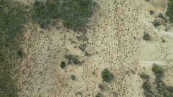 An aerial view of a dirt field with grass video