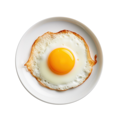 Fry with egg in png 23628969 PNG