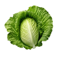 Green fresh lettuce isolated png