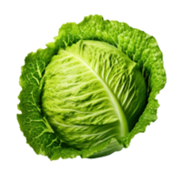 Green fresh lettuce isolated png