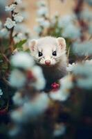Portrait of a ferret on a background of spring flowers. AI Generative photo