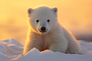 Polar bear cub on the pack ice, north of Svalbard Arctic Norway. AI Generative photo